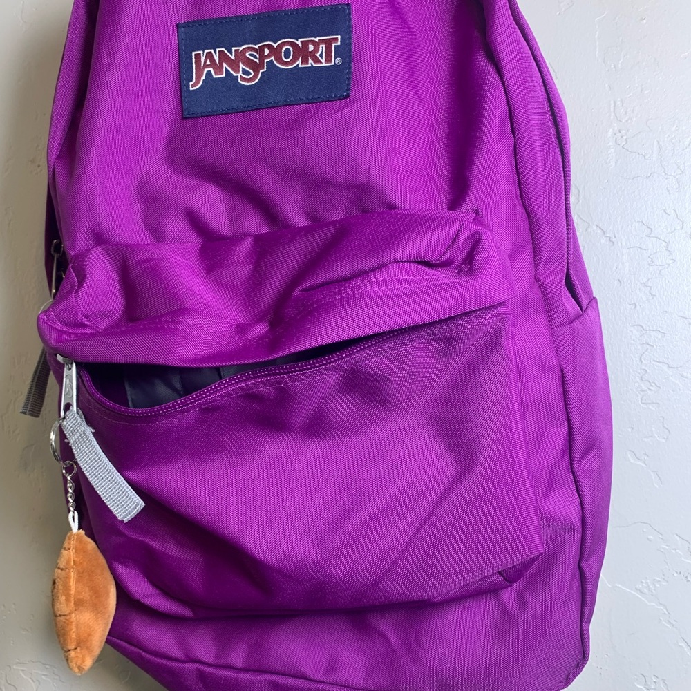 JanSport Purple Backpacks